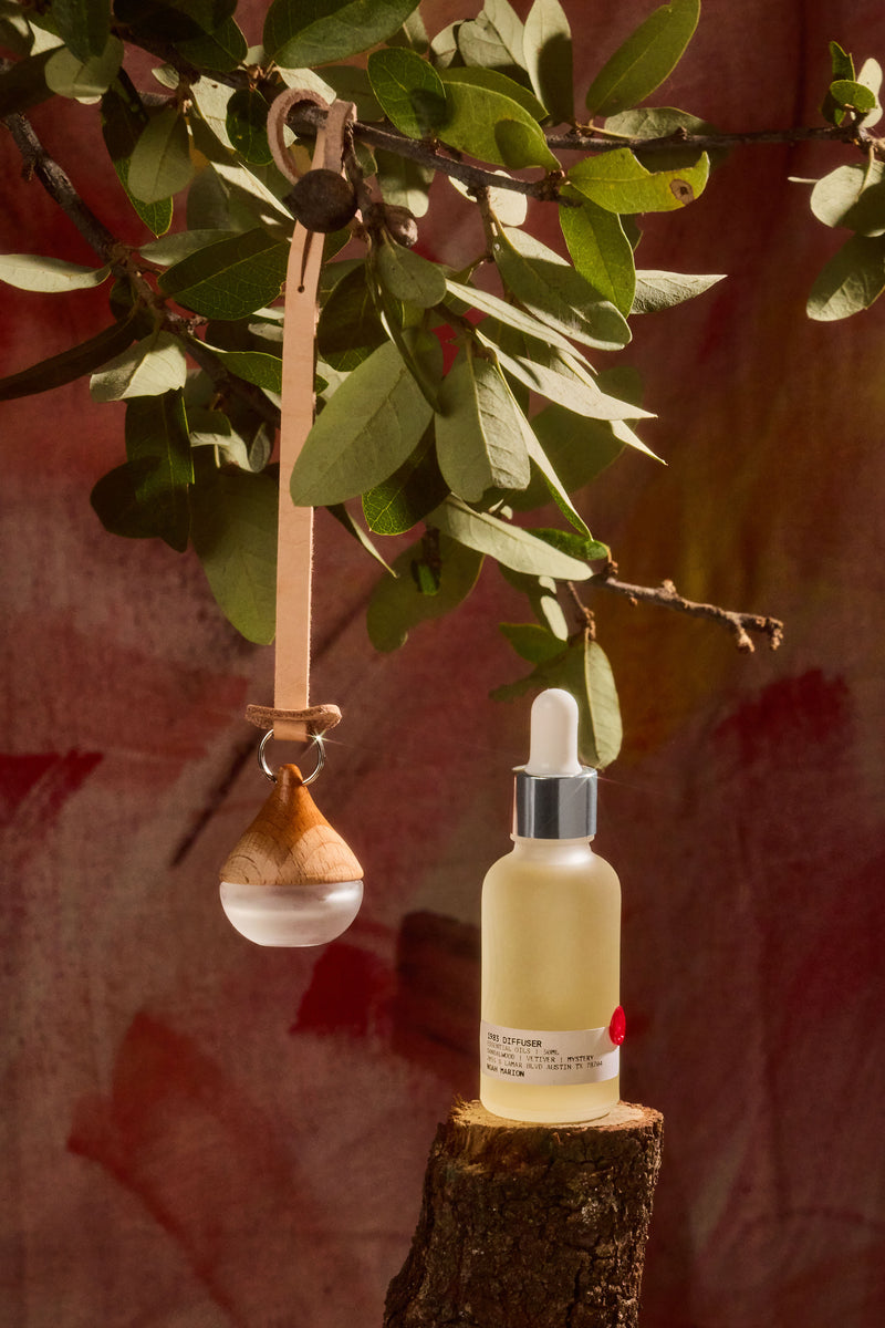 HANGING DIFFUSER – Noah Marion